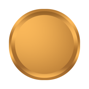 Bronze 1 Door